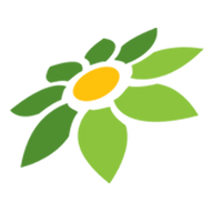 LOGO CERITA INSTAGRAM